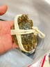 【活蟹】乾澄大閘蟹現貨 全母2.3-2.6兩 8只 鮮活螃蟹去繩足重海鮮中秋禮盒裝源頭直發(fā) 曬單實(shí)拍圖