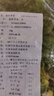 【農(nóng)村最鮮】春天里薺菜農(nóng)家野菜薺菜速凍薺菜水餃餛飩餡新 整顆【當(dāng)季新菜2斤】特惠家庭裝 曬單實拍圖