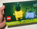 樂(lè )高（LEGO）積木拼裝10349 快樂(lè )盆栽男孩女孩兒童玩具生日禮物 曬單實(shí)拍圖