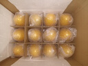 新新精藝砸金蛋抽獎開(kāi)門(mén)紅開(kāi)業(yè)慶典節慶送彩花商場(chǎng)活動(dòng)道具20cm 24個(gè)裝 曬單實(shí)拍圖