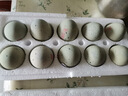 鄱湖鴨舍 無(wú)鉛松花蛋皮蛋溏心松花皮蛋無(wú)鉛工藝變蛋廠(chǎng)家麻鴨蛋批發(fā) 60-70克/枚【10枚-優(yōu)惠】 曬單實(shí)拍圖