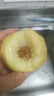 蒲戀江蘇特產(chǎn)無(wú)錫水蜜桃【JD多地次日達】軟桃硬桃子中秋水果禮盒送禮 一級果4-5兩10個(gè)禮盒凈重4斤多 頭茬鮮果 | 軟硬兩吃 曬單實(shí)拍圖