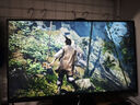 泰坦軍團 23.8英寸 2K 原生180Hz FastIPS 專(zhuān)業(yè)電競調校 10bit廣色域 HDR技術(shù) 電腦游戲屏幕顯示器 P2410R 曬單實(shí)拍圖
