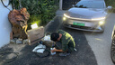 公牛充電樁槍新能源電動(dòng)汽車家用交流樁7/11/21KW適用于特斯拉小鵬極氪理想華為問界奔馳小米阿維塔 7kw樂享刷卡版（LED數(shù)顯屏+預(yù)約充電) 【基礎(chǔ)安裝】 曬單實(shí)拍圖