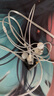 興戈（SIMGOT） EW100 入耳式有線(xiàn)耳機動(dòng)圈HiFi電腦游戲電競音樂(lè )耳塞 EW100透明版 3.5帶麥 曬單實(shí)拍圖