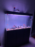 閩江（minjiang）魚(yú)缸水族箱客廳家用中大型底濾輕奢極簡(jiǎn)造景超白玻璃金龍魚(yú)缸 神秘灰色（基礎(chǔ)款） 長(zhǎng)120x寬34x高152cm（超白玻璃） 曬單實(shí)拍圖