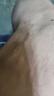PROPARD護膝保暖艾草自發(fā)熱老寒腿秋冬男女款中老年人半月板防寒防滑護套 艾草發(fā)熱-綁帶防滑-短款 均碼【90斤-180斤】丨兩只裝 曬單實(shí)拍圖