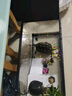 爬將軍烏龜飼養缸生態(tài)造景養龜帶曬臺爬臺塑料飼養箱別墅帶蓋龜缸魚(yú)缸 40缸+曬臺+過(guò)濾+燈+綠植 曬單實(shí)拍圖