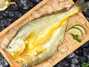 鮮京采醇香黃魚鲞5條/2.5斤(單條230-255g)三去處理 寧德地標(biāo) 源頭直發(fā) 曬單實(shí)拍圖