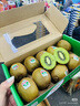 佳沛（zespri）綠奇異果 優(yōu)選大果12粒單果約113-135g  水果禮盒 獼猴桃 曬單實拍圖