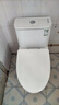 九牧（JOMOO）11173-2-1/31KD-3大力神家用馬桶虹吸抗菌節水潔具305坑距 曬單實(shí)拍圖