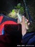 創(chuàng  )威凌天非凡大師極輕小綜合超輕魚(yú)竿臺釣竿釣魚(yú)竿手竿鰱鳙魚(yú)竿大物竿 5.4m 小綜合 曬單實(shí)拍圖