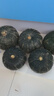 家美舒達(dá) 山東 貝貝南瓜 板栗小南瓜 5斤（品種：明博） 蔬菜禮盒 曬單實拍圖