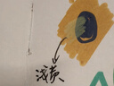 丙烯馬克筆防水不透色涂鴉筆學(xué)生兒童美術(shù)專(zhuān)用安全可水洗手繪畫(huà)筆 丙烯馬克筆-48色-1套 曬單實(shí)拍圖