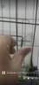 貝初眾狗籠子大中小型犬帶廁所折疊便攜貓籠子超大號狗狗圍欄寵物籠 黑色60*42*50cm【15斤內】 托盤(pán)+腳墊 折疊免安裝 曬單實(shí)拍圖