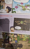 （32開(kāi)）大英兒童漫畫(huà)百科 套裝【9-16冊】課外書(shū) 科普書(shū)籍[6-12歲]漫畫(huà)書(shū)小學(xué)生 自主閱讀假期讀物地質(zhì) 兩棲動(dòng)物 恐龍 寵物 極地 環(huán)保 鳥(niǎo)類(lèi) 健康 曬單實(shí)拍圖