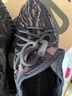 阿迪達(dá)斯Yeezy350暴龍獸椰子夏日透氣男女時(shí)尚休閑鞋GW3774 43 曬單實(shí)拍圖