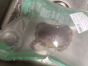 鮮活面包蟹400-600g/只 曬單實(shí)拍圖