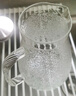 青蘋果冷水壺涼水壺硼硅耐熱玻璃冷熱水壺嘟嘟壺1.8L大容量家用飯店通用 曬單實拍圖