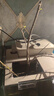 原生態(tài)水楊梅水培水生植物老樁水陸缸室內綠植魚(yú)缸造景懶人綠植物 【保鮮發(fā)貨】 帶芽25-35cm二年苗【1棵】 曬單實(shí)拍圖