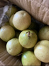 京覓 廣西欽蜜9號(hào)黃金百香果 3斤單果60g+ 新鮮酸甜水果生鮮 源頭直發(fā) 曬單實(shí)拍圖