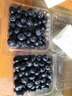 酷奇象 遼寧丹東花香藍(lán)莓王【多地次日達(dá)】新鮮孕婦L25藍(lán)莓禮盒怡顆藍(lán)莓 125g*12盒【量大爽吃】 品質(zhì)藍(lán)莓【單果15-18mm+】 曬單實(shí)拍圖