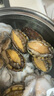 靈略 鮮凍大鮑魚(yú) 凈重800g 16粒盒裝 鮑魚(yú)火鍋燒烤  貝類海鮮 生鮮 曬單實(shí)拍圖
