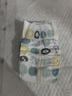 好奇（Huggies）小森林深睡大師系列紙尿褲試用裝M4片透氧防漏尿不濕 曬單實(shí)拍圖