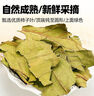 參慶堂柿子葉500克（5g*100包）霜后柿子葉茶中藥材降泡煮水養生茶 曬單實(shí)拍圖