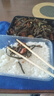 魚躍（Yuwell）耳溫體溫槍紅外體溫計嬰幼兒童老人發(fā)燒鼓膜入耳精準(zhǔn)溫度計YHT108 曬單實拍圖