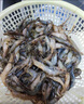 微山湖淡水河蝦小河蝦鮮活急凍青蝦草蝦醉蝦五節腿 中號河蝦 250g(凈重)  4-6cm 4盒 曬單實(shí)拍圖