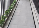 綠有意綠蘿盆栽除甲醛室內好養花卉植物綠蘿批發(fā)辦公室新房裝修凈化空氣 120#綠加侖吸水盆10盆+4肥 帶盆帶土發(fā)貨 曬單實(shí)拍圖