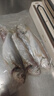 小熊（Bear）真空封口機家用食品抽真空機 真空壓縮機干濕兩用 大吸力封口機  FKJ-G01P6  曬單實拍圖