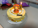 元祖（GANSO）8號(hào)處女座蛋糕800g 動(dòng)物奶油星座蛋糕 生日蛋糕同城配送當(dāng)天送達(dá) 曬單實(shí)拍圖