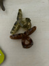 4CM果凍色半透明小抓夾半扎發(fā)小號鯊魚(yú)夾甜美交叉碎發(fā)夾 TS53-果凍色小抓夾2個(gè)隨機 曬單實(shí)拍圖