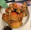 【活蟹】蟹宗鮮活大閘蟹現貨全母2.8-3.1兩8只水產(chǎn)生鮮螃蟹鮮活海鮮禮盒節日送禮禮品 曬單實(shí)拍圖