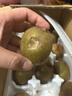 綠心華美獼猴桃 奇異果 彌獼桃 新鮮生鮮水果 凈重5斤裝 單果100克+ 曬單實(shí)拍圖