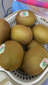 佳沛（zespri）綠奇異果10個裝 寶寶果單果約77-89g 水果獼猴桃包郵 曬單實拍圖