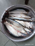客友釣具客友名揚四海S20魚(yú)竿極輕小綜合竿超輕硬碳素鯽魚(yú)竿手桿臺釣魚(yú)竿 7.2m 【又輕又硬極輕小綜合】 曬單實(shí)拍圖