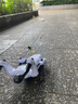 盈佳遙控機器狗兒童玩具男孩遙控汽車ai智能編程早教機器人七夕禮物 曬單實拍圖