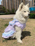 狗狗衣服大型犬寵物春夏公主大中型犬綁帶網(wǎng)紗裙寵物狗狗貓咪衣服 寵物小禮品一個(gè) 8XL胸100背70約56-80斤 曬單實(shí)拍圖