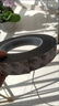 EVA泡棉雙面膠帶 泡沫雙面膠墻面免釘加厚固定膠免打孔 20*60mm（30片）-黑色 曬單實(shí)拍圖