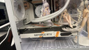 HKC 23.8英寸240Hz高刷FastIPS小金剛1ms硬件低藍(lán)光HDR400電競(jìng)游戲電腦屏幕顯示器獵鷹 G24H3S經(jīng)典版 曬單實(shí)拍圖