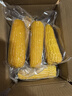 京鮮生 東北黃糯玉米260g*10棒 新鮮甜糯玉米棒真空包裝粘玉米 源頭直發(fā) 曬單實(shí)拍圖