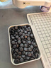 元蘿卜SenseRobot圍棋 X 野狐 AI下棋機器人圍棋 對弈 習題 陪練 漲棋 AI講題 人機互動(dòng) 家用學(xué)習【野狐聯(lián)名版】 曬單實(shí)拍圖