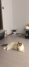 ELL【拍1發(fā)12】紫蘇壬二酸清潔泥膜面膜收縮毛孔去黑頭粉刺閉口 曬單實(shí)拍圖