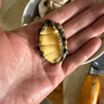 海鮮世家 三去鮑魚(yú)肉 330g 15-25只 鮮活加工 火鍋燒烤食材 生鮮 曬單實(shí)拍圖