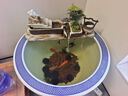 流水趣 陶瓷大圓缸老式水缸古法養魚(yú)庭院睡蓮荷花陽(yáng)臺戶(hù)外獅子造景客廳 水到渠成長(cháng)60cm 適合50-80缸 曬單實(shí)拍圖
