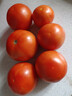云南高山西紅柿水果番茄可生吃新鮮蔬菜生鮮產(chǎn)地直發(fā) 西紅柿 2斤 帶箱 曬單實(shí)拍圖
