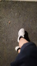 亞瑟士ASICS網(wǎng)面跑鞋百搭男鞋緩震運動鞋透氣跑步鞋 GEL-CONTEND 4 白色/銀色 41.5 曬單實拍圖